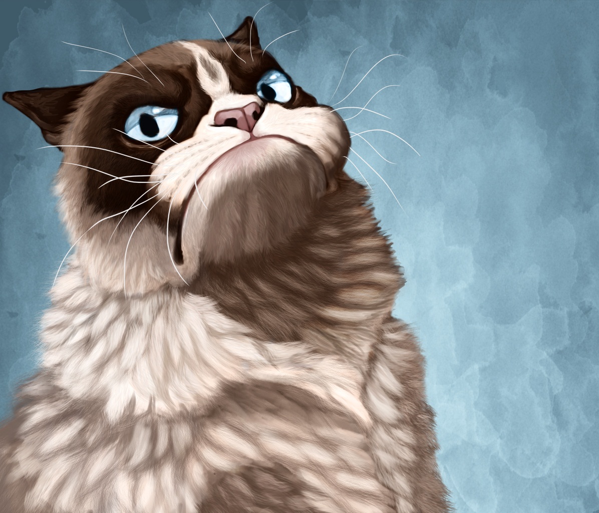 Grumpy Cat HD Wallpaper | Funny Collection World
