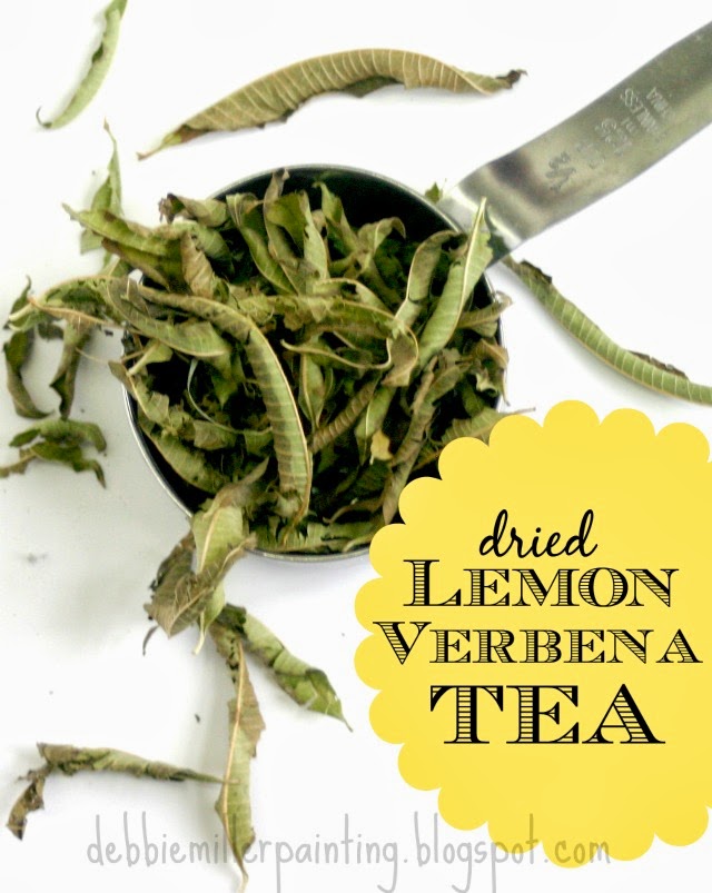 Make your own dried lemon verbena tea