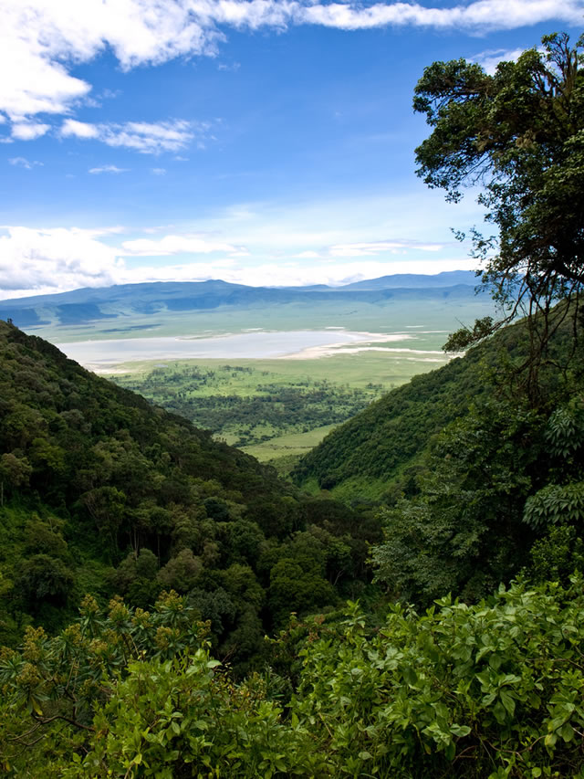 Vista del cráter del Ngorongoro, Tanzania.