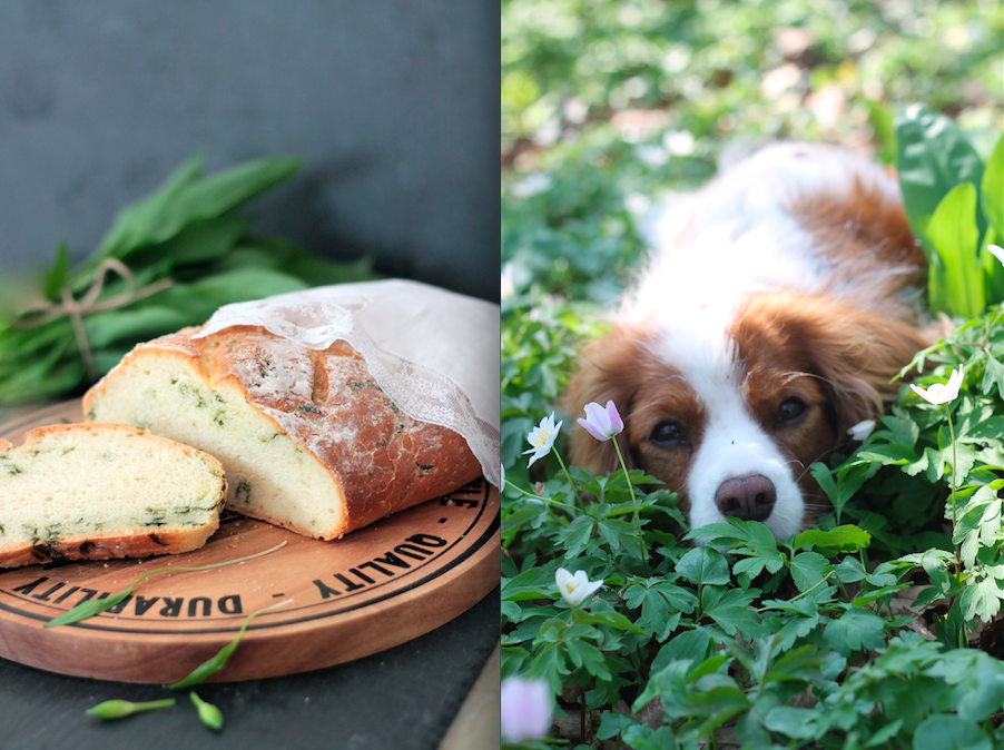 Gaston Le Gourmet Frühling mit Gaston