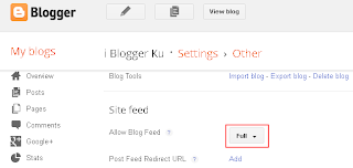 allow blog feed
