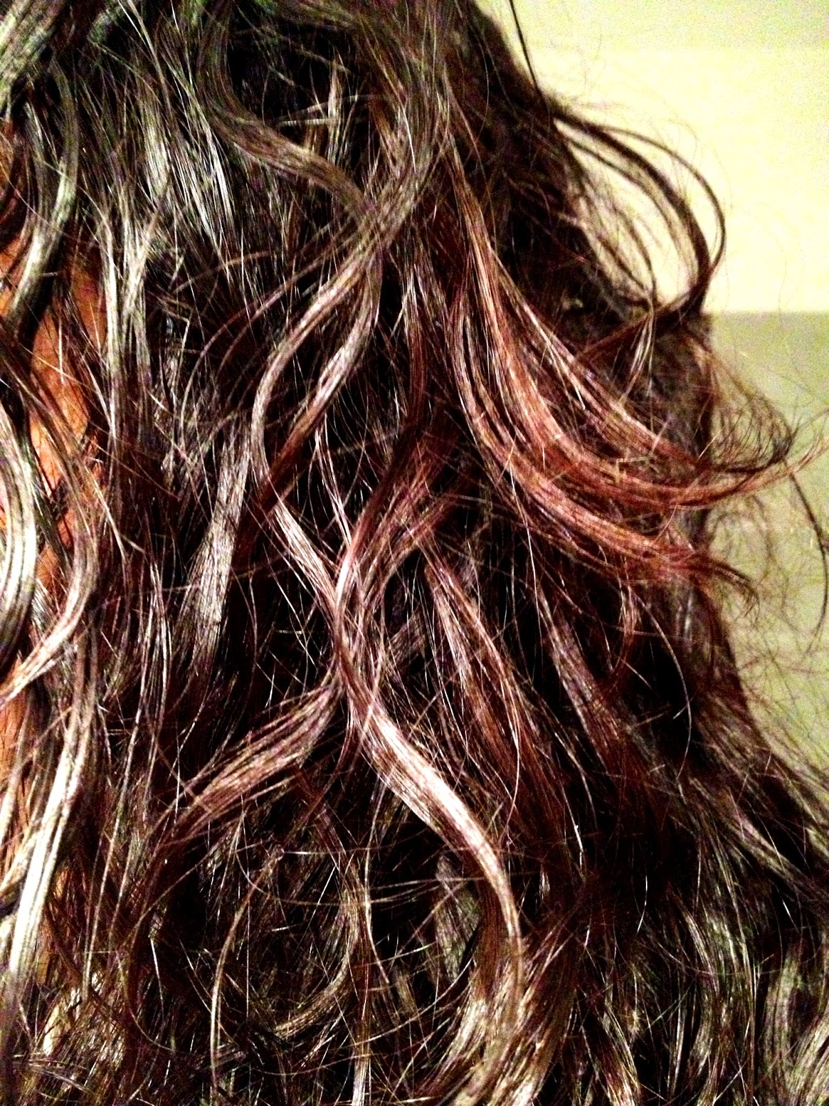 ELiXirs et PiGMeNTiQues Mèthode pour réaliser des mèches ou un