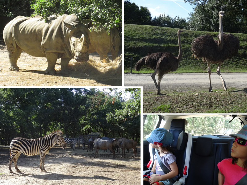 Les Mercredis de Julie Parc Zoologique African Safari Plaisance du