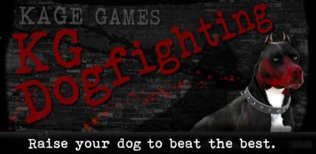 Dogfight Game