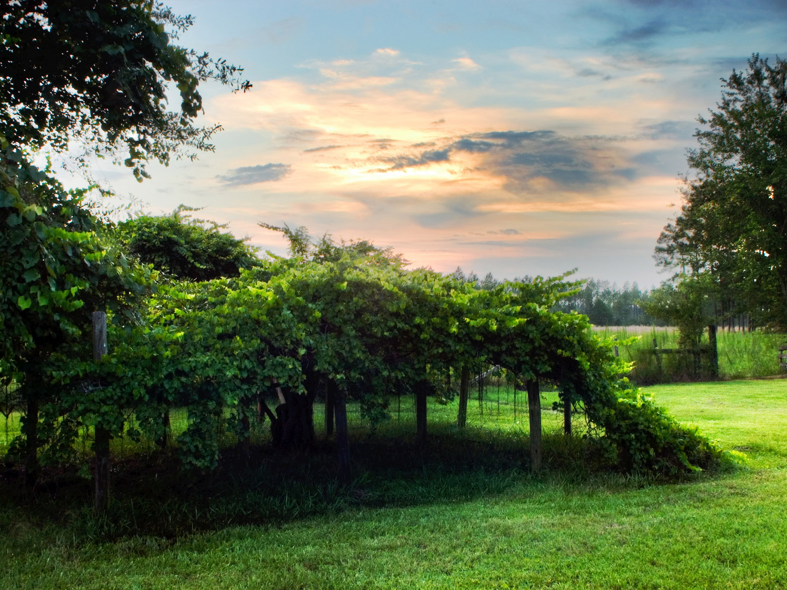 http://4.bp.blogspot.com/-gLsUhPuBYfA/Ta3aMBUo2LI/AAAAAAAAAWA/rVYTDg-lGBY/s1600/natural_scene_1600x1200.jpg