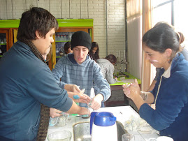 laboratorio liceo dau. área química. mayo 011- grupos de 3º ciclo básico.