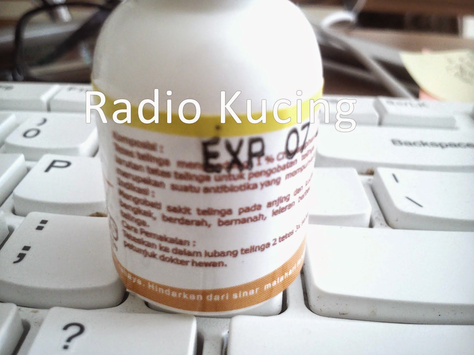 review obat tetes telinga kucing anjing merk healthy review obat tetes telinga kucing anjing merk healthy