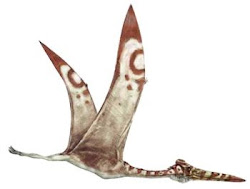 Hatzegopteryx