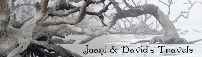 Joani & David's Travels