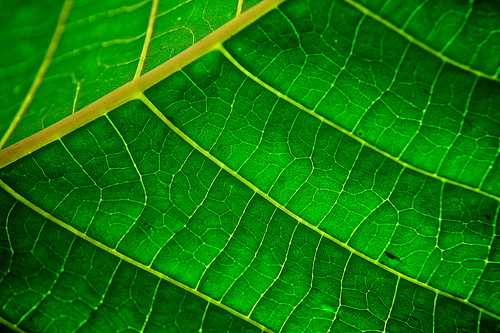 thesis of chemistry organic thesis of chemistry organic