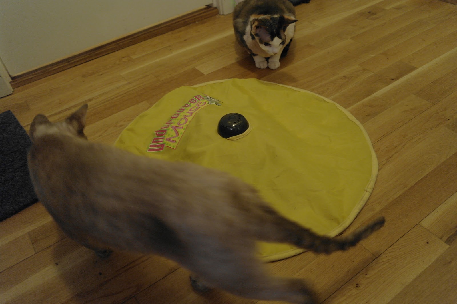 The Operacats Mechanical Cattoy reviews