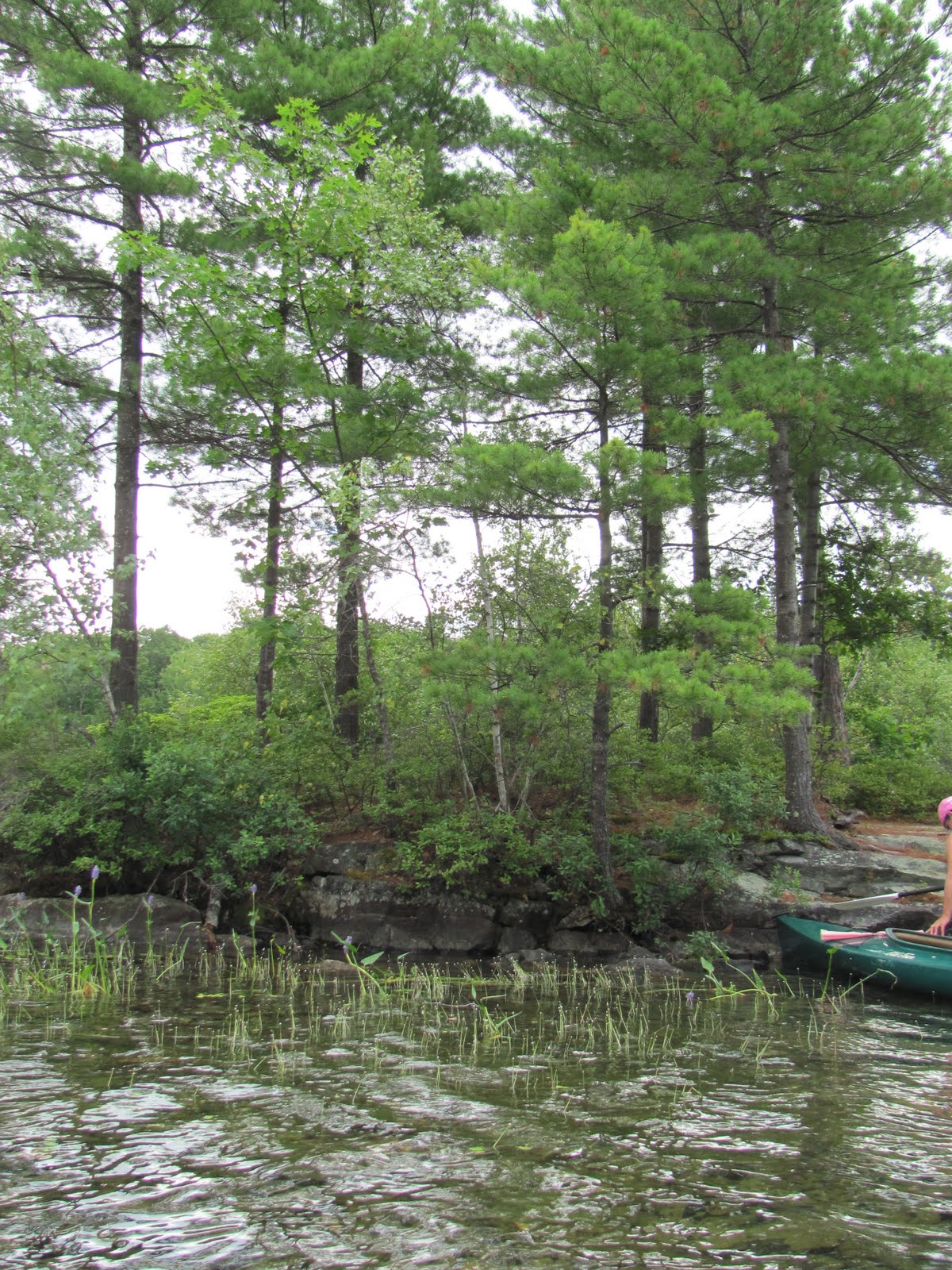 Recreational Kayaking in Maine Casco, Maine Coffee Pond