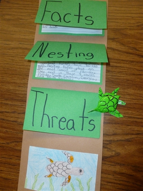 fourth grade animal research paper fourth grade animal research paper