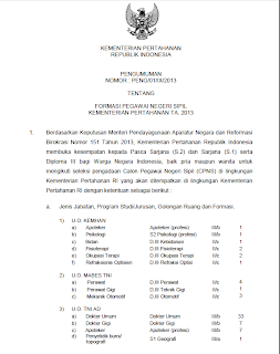 PENGUMUMAN CPNS 2013 TERBARU Hasil Tes CPNS Seleksi Nasional Pegawai Negeri