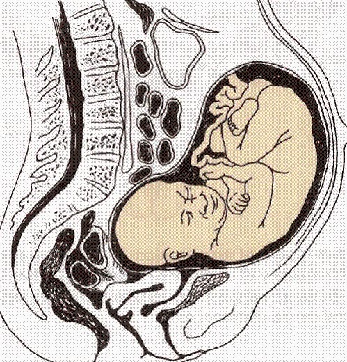 abdominal-gebelik.jpg