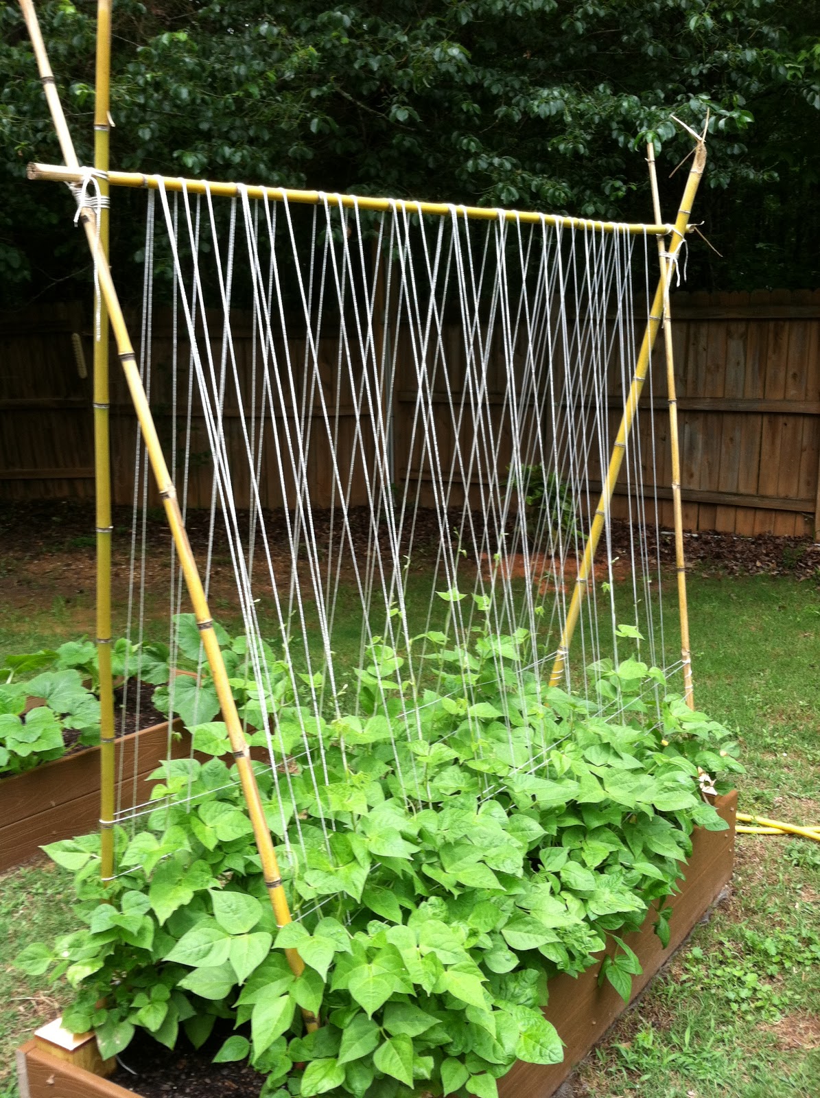 Two Sisters Gardening Raised Beds, Pay Off Early