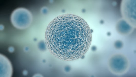 evolutionary bioenergetics of protocells evolutionary bioenergetics of protocells