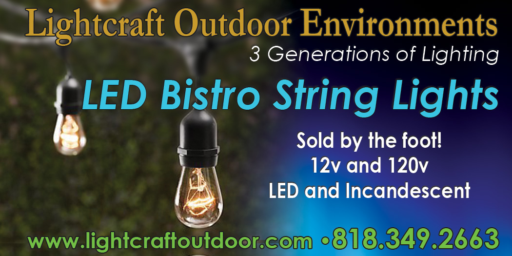 New LED Bistro Cafe String Lights