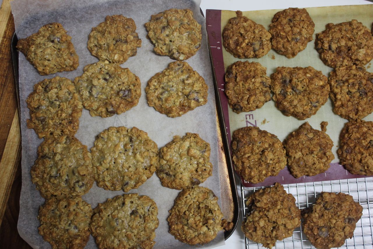 Green Gourmet Giraffe Hazelnut oat choc chip cookies and the long weekend