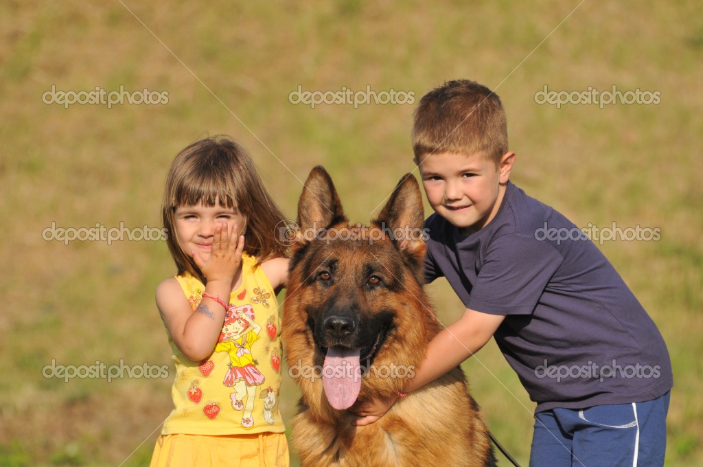 Get long coat german shepherd for sale in north carolina