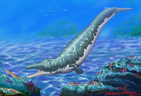 What Zygorhiza would have looked like.    