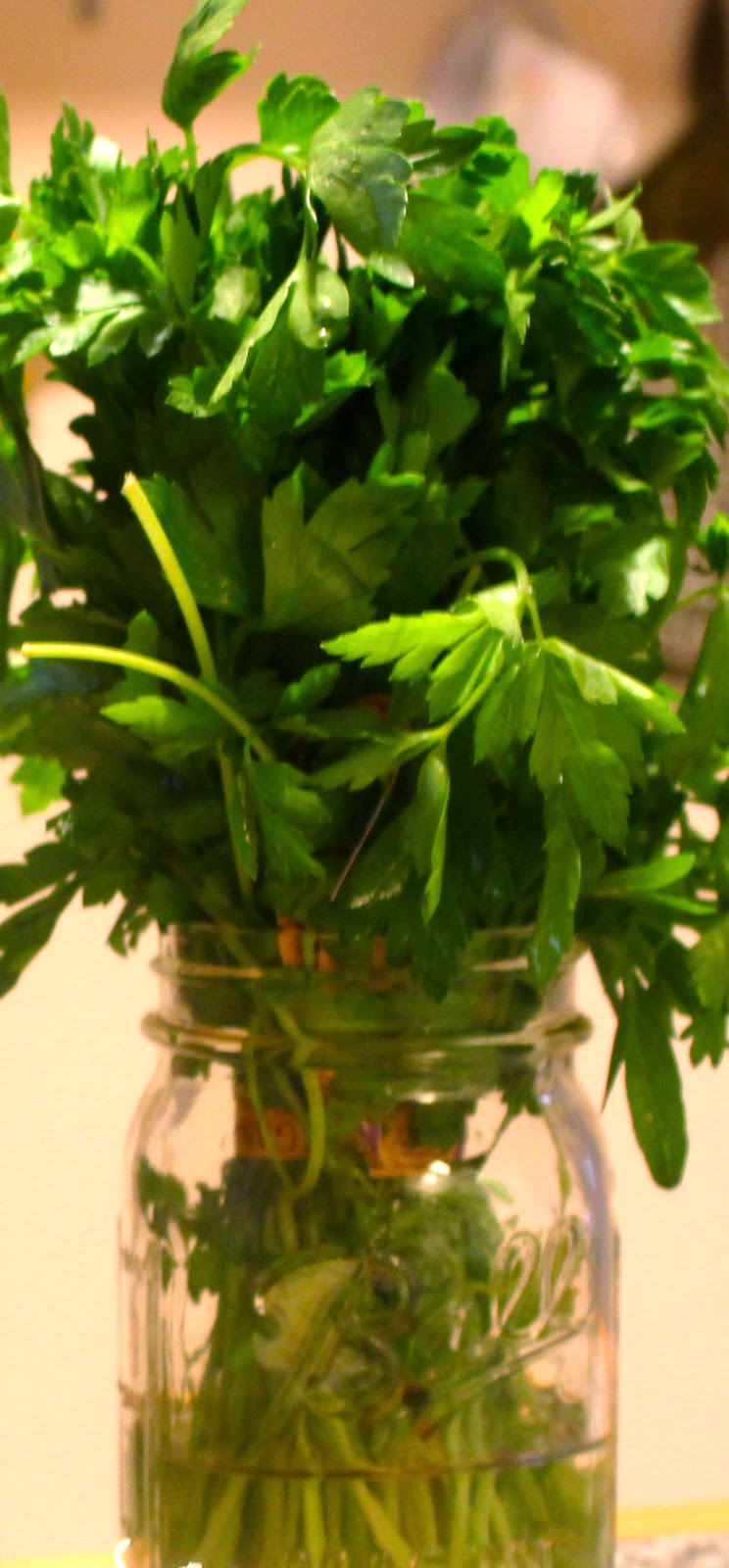 All Sauced UP! And nowhere to go.. Parsley Pecan Pesto