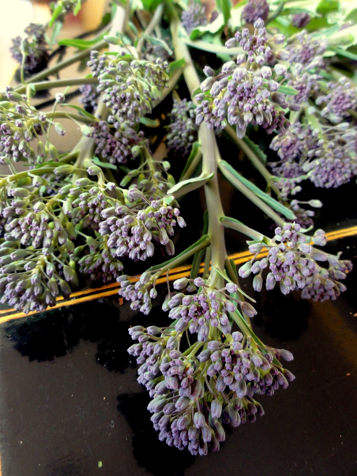 From Garden to Kitchen Broccoli Early Purple Sprouting