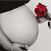 Mais de 800 mulheres morrem por dia em complicações da gravidez, afirma OMS