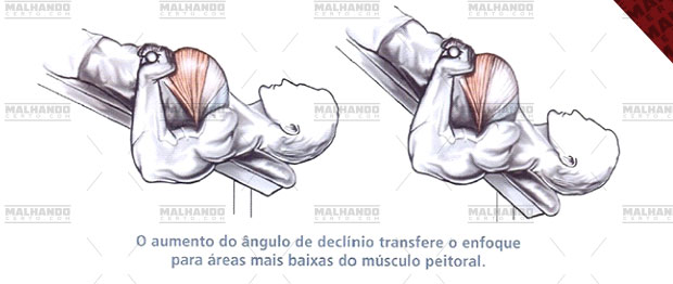 Supino declinado com halteres - Peito 