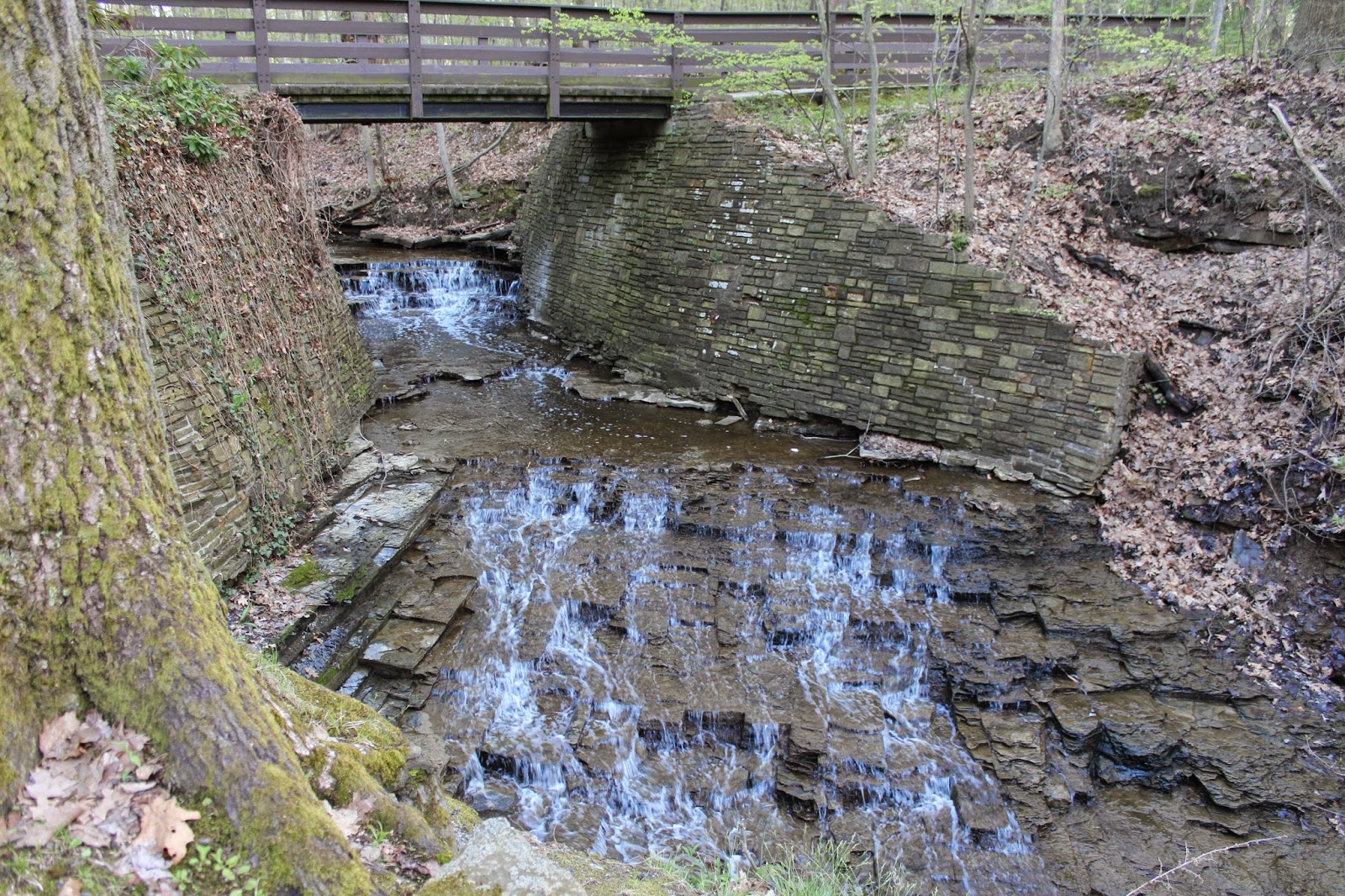 *Over the Rainbow* The Cleveland Metroparks