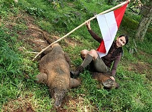 Komodo Island is the NEW 7 Wonders of The World Komodo Island is the NEW 7 Wonders of The World