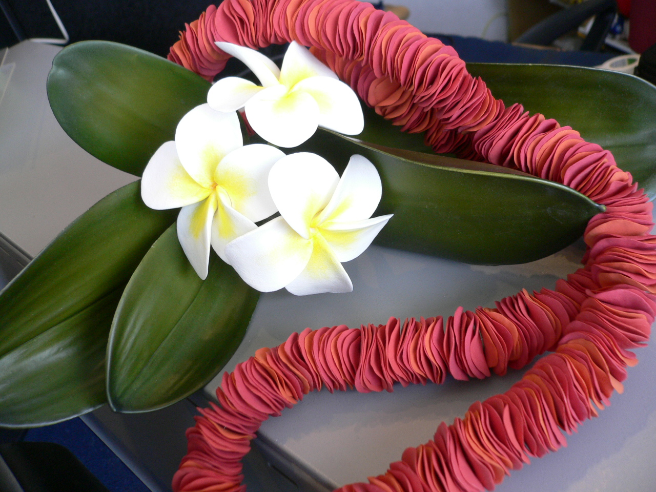 Hawaii Eight Cafe blog 花、花、花、ハワイの美しいお花