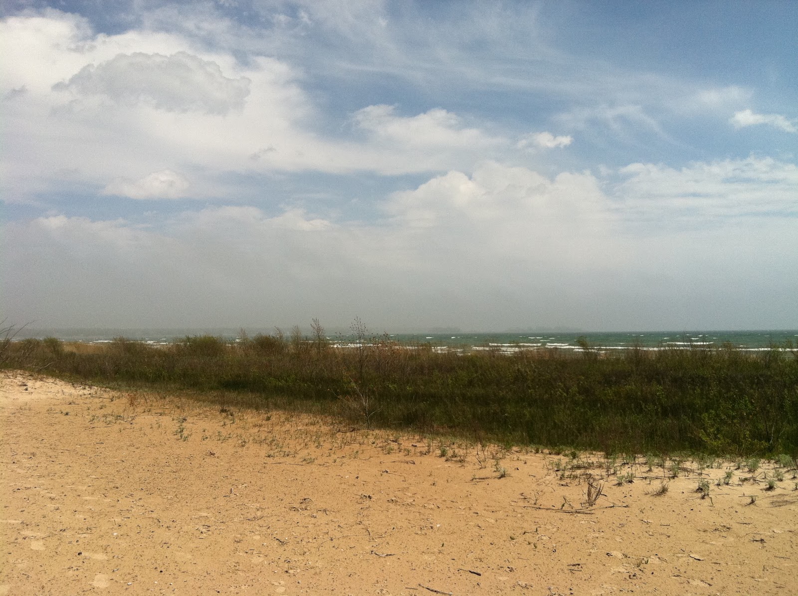 Gastroparesis and sod