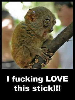 Funny Pics Funny Pics