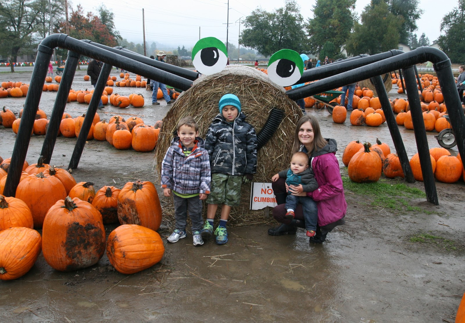 Full Of The Dickens Pumpkin Patch Pacific Northwest Style!