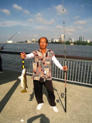 Squaretail Mullet also known as Chow Orh 草乌, 鯔魚 or Belanak Caught by Ah Goh weighing 1.8kg at Woodland Jetty Fishing Hotspots was created to share with those who are interested in fishing on tips and type of fishes caught around Woodland Jetty Fishing Hotspots.