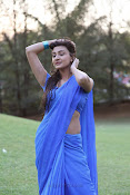 Neelam Upadhyay Hot pics in Blue saree-thumbnail-22