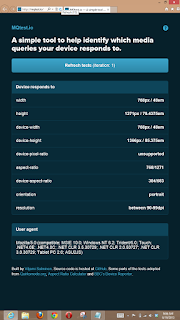 Win8/IE10 tall desktop.