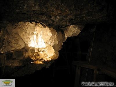 zdjęcie podświetlonych kryształów halitu w grocie kryształowej w Wieliczce