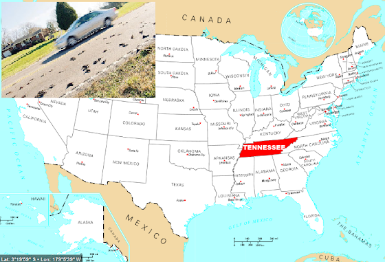 Tennessee: Πουλιά πέφτουν από τον ουρανό!