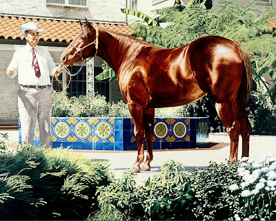oleos-de-caballos-realistas oleos-de-caballos-realistas