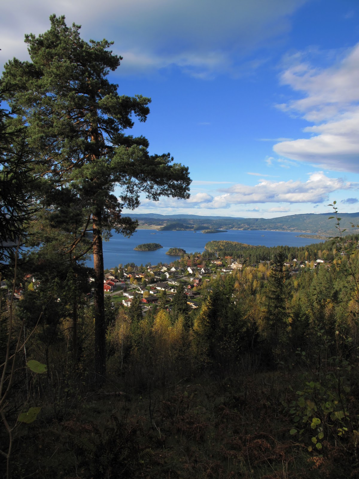 [Image: IMG_6658.JPG]