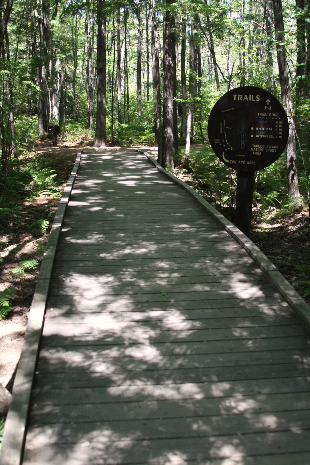 Adventures with Renee Ferry Beach State Park, Saco Maine the walking