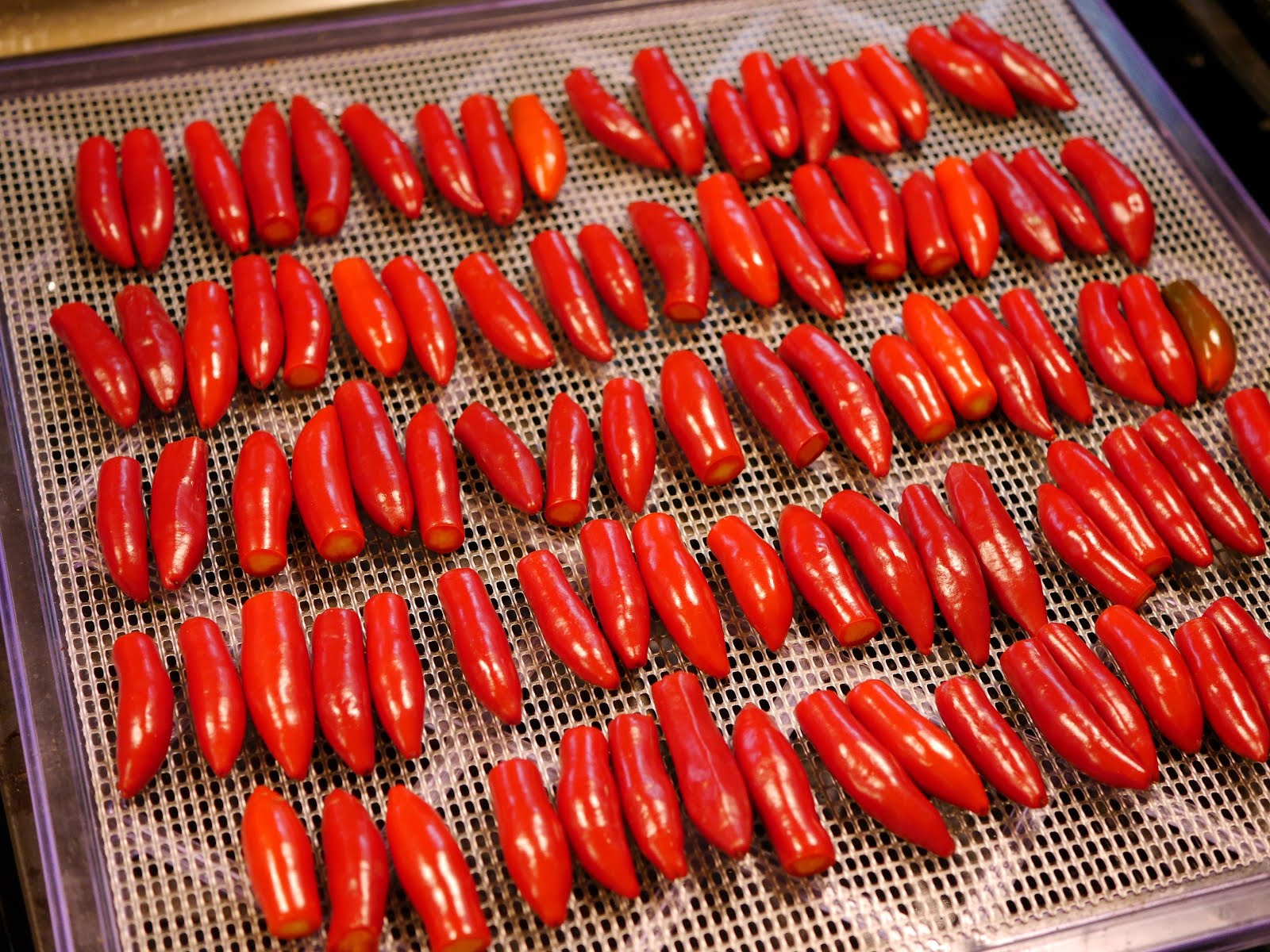 Foods For Long Life Dehydrating Serrano (Hidalgo) Peppers