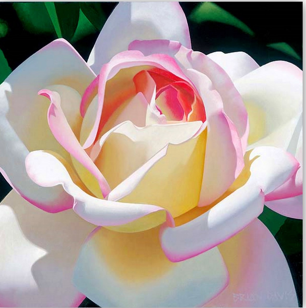 FLOR OLEO flor oleo: