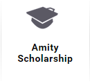 Amity Scholarships