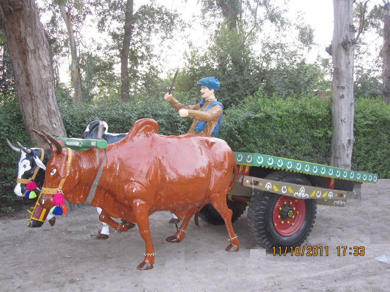 BULL CART LIFE SIZE SCULPTURE ON THE ORDER OF GOVT. OF PUNJAB IN JHANG CITY