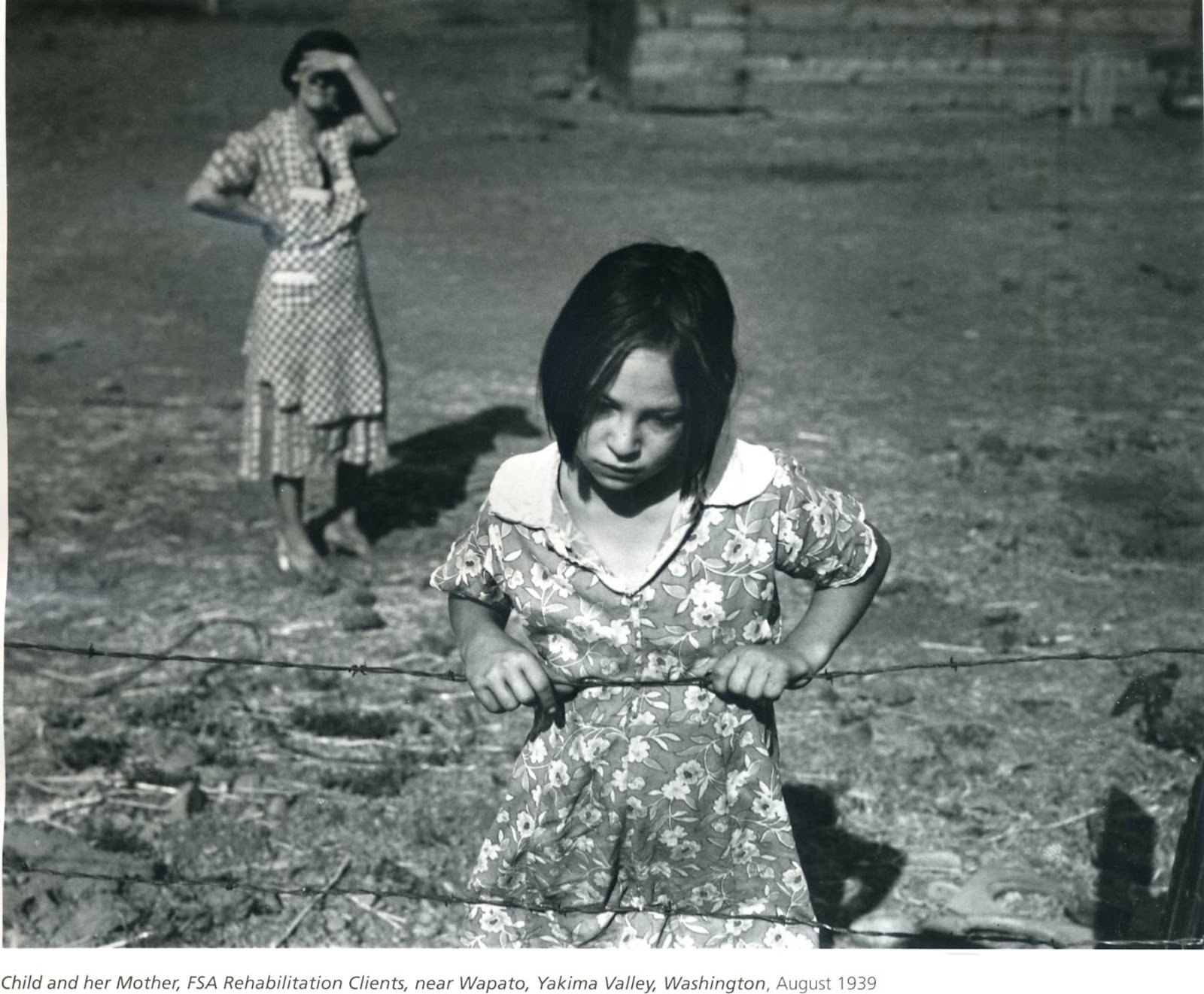 dorothea lange an american photographer Dorothea lange is perhaps one of the most important historical figures in american photography. dorothea lange an american photographer Dorothea lange is perhaps one of the most important historical figures in american photography.