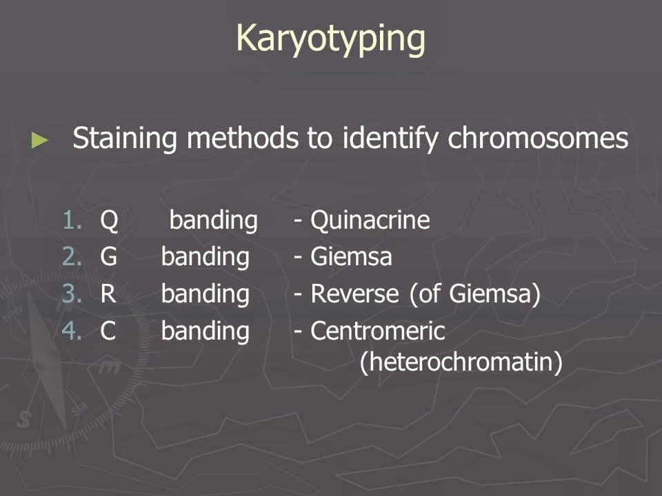 Slide 64