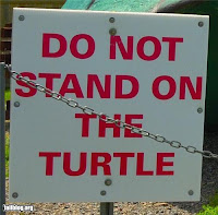 strange warning sign - do not stand on the turtle